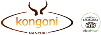 Kongoni Camp Restaurant
