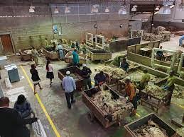 Alpharama Ltd (Alpha Rama Ltd)